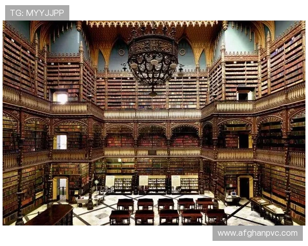 新用户必看！d88尊龙会员注册详细攻略及注册成功后的权益介绍