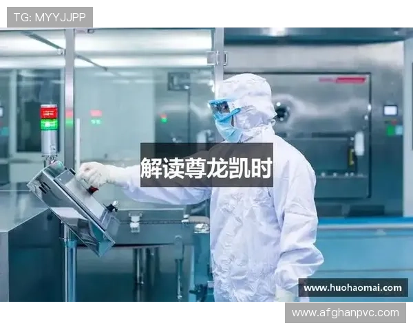 深入探讨尊龙凯时的网址，带你了解如何高效利用